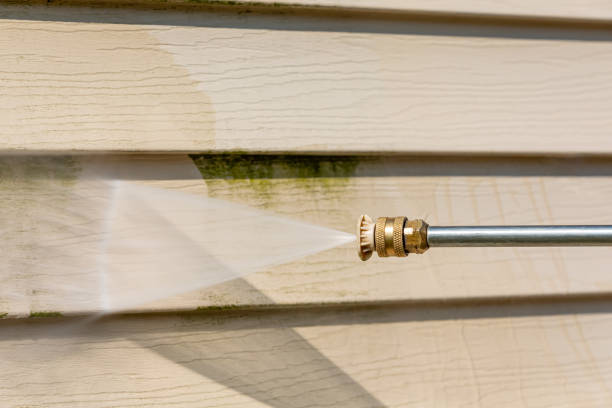 Best Local Pressure Washing Services  in Williams, AZ