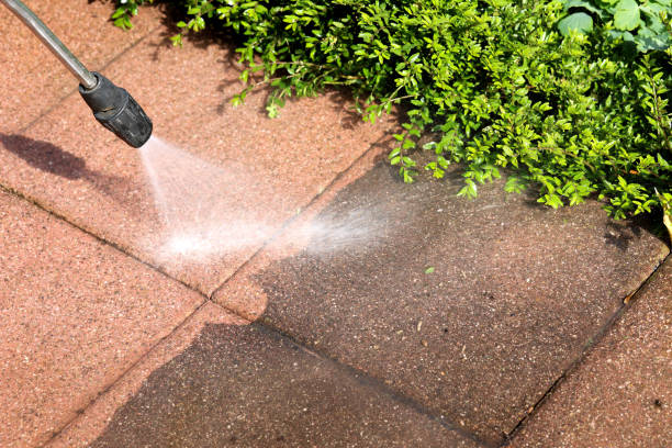 Best Power Washing Near Me  in Williams, AZ